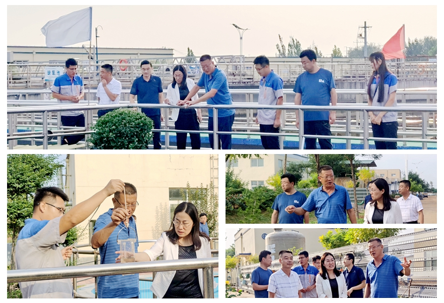 1600776822829851.jpg 123123123.jpg