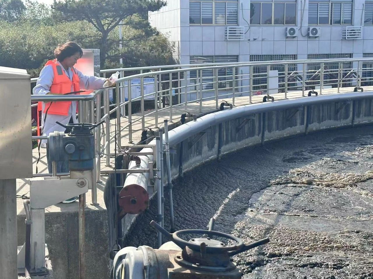 1746499350729944.jpeg 8a4876ec9f35d3e956a9cf7a589b6fa6.jpeg